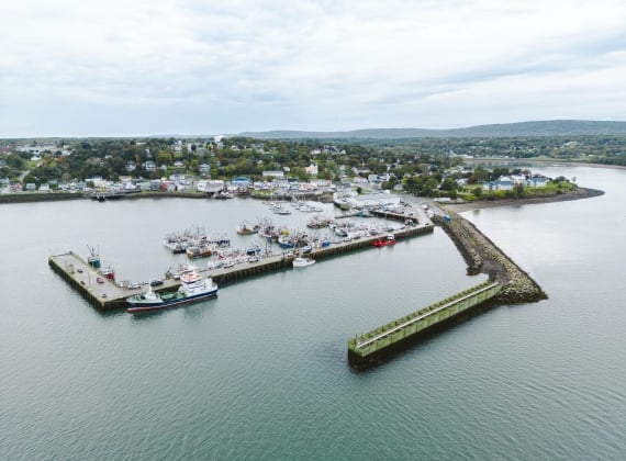 Ariel view of Digby port